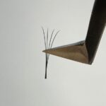 extension βλεφαρίδων αθήνα